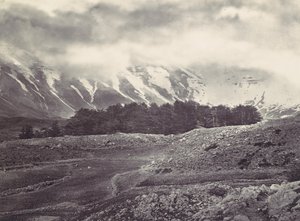 レバノン杉の遠景、カリフォルニア州。 1857年。