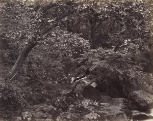 リンマスのグレン、1860年代 作： Francis Frith