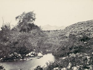 ジェリコの泉と市の推定地、カリフォルニア州。 1857年。