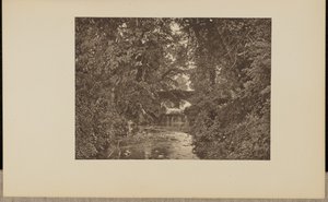 タウントン川にて 作： Francis Frith and Co.