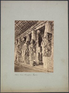 トリチノポリ ホース コート、1850 年代から 1870 年代。 作： Francis Frith and Co.