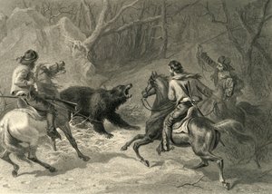 「熊をなげなわするネイティブ カリフォルニア人」、1874 年。