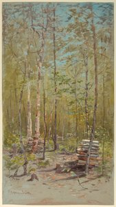 白樺の木 作： Francis Hopkinson Smith