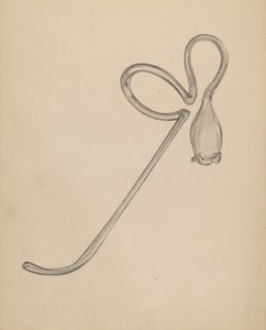 ジャージーパイプ 作： Francis Law Durand