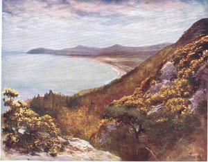 ビクトリアヒルのダブリン湾、ピープルズアットメニーランド：アイルランド、Adams＆Charles発行、1909年 作： Francis S. Walker