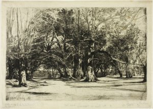 ティペラリーのバイロード 作： Francis Seymour Haden