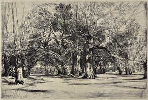 ティペラリーのバイロード 作： Francis Seymour Haden