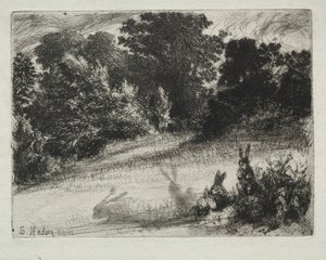 下をくし。 作： Francis Seymour Haden