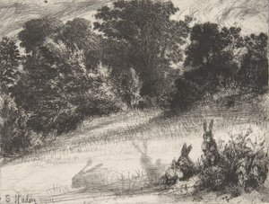 クーム・ボトム、1860年、1860年。