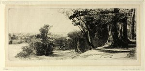 早朝、リッチモンド公園 作： Francis Seymour Haden