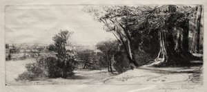 早朝、リッチモンドパーク。 作： Francis Seymour Haden