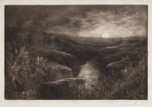 モスキートのたまり場 作： Francis Seymour Haden