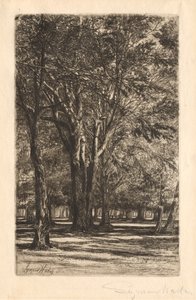 ケンジントンガーデンズ、No。2ラージプレート、1860。 作： Francis Seymour Haden