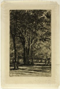 Kensington Gardens, No. II (大皿) 作： Francis Seymour Haden