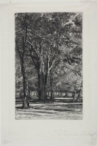 Kensington Gardens, No. II (大皿) 作： Francis Seymour Haden