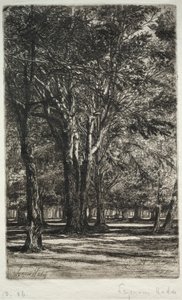 ケンジントンガーデンズザラージャープレート、1860。 作： Francis Seymour Haden