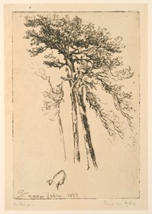 スコッチファー 作： Francis Seymour Haden