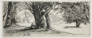 ホリーフィールド。 作： Francis Seymour Haden