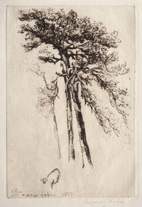 最新のツリー 作： Francis Seymour Haden