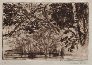 小川の口 (二皿目) 作： Francis Seymour Haden
