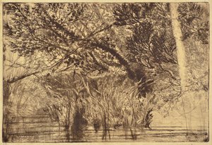 小川の口No.1 作： Francis Seymour Haden