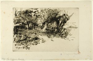 ウィロウズ 作： Francis Seymour Haden
