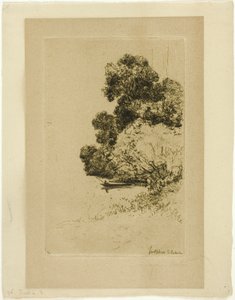 トゥイッケナムの茂み 作： Francis Seymour Haden