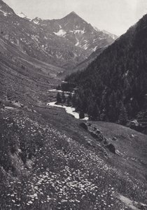 東アルプス: Windach Tal で (白黒写真) 作： Francis Sydney Smythe