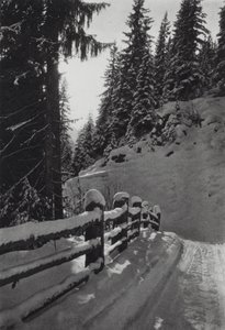 アルプス: 冬の朝、サン アントン付近 (白黒写真) 作： Francis Sydney Smythe