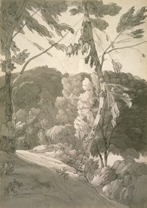 No.1091森の風景（インディノワールの情景）1783年（紙に鉛筆、ペン、インクでウォッシュ） 作： Francis Towne