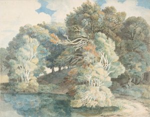湖畔の木、ピーモア公園、デボン州エクセター近く、1790～1810年。 作： Francis Towne