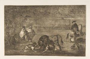 プレートC：犬は雄牛を放します。 1816年。 作： Francisco de Goya
