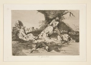彼らは利用します（彼らはそれらを利用します）、pl。 16 戦争の災害から 作： Francisco de Goya