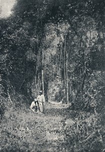 ハイパラナロード、1895 作： Francisco Henszler
