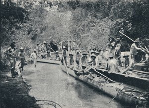 ロ・デ・ストの探検。アナスタシオ、1895