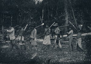 狩猟から戻ったグアラニインディアン、1895年