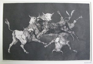 愚か者の愚行 作： Francisco Jose de Goya y Lucientes