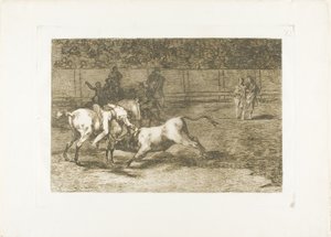 インディアンの別名であるマリアーノ・セバージョスは、馬から雄牛を殺します。『The Art of Bullfighting』のプレート 23 作： Francisco Jose de Goya y Lucientes