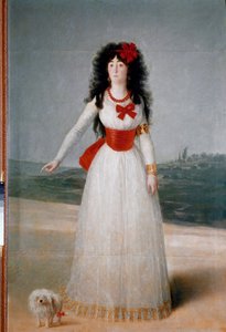 アルバ(Alba)公爵夫人の肖像(Maria Teresa Cayetana de Silva)(1762-1802) フランシスコ・ゴヤ・イ・ルシエンテス(1746-1828)の絵画 1795年 薄暗い。194x130 cm マドリッド、アルバのコレクション 作： Francisco de Goya