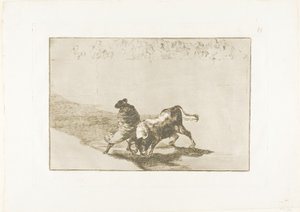 The Art of Bullfighting の 14 プレート 作： Francisco Jose de Goya y Lucientes