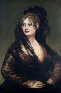 不明な画像 作： Francisco de Goya