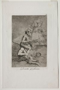 Caprichos：Devout Profession。
