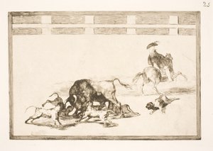 彼らは牛の上で犬を磨く 作： Francisco de Goya