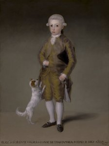 ドンビセンテイザベルオソリオデモスコソとアルバレスデトレド、トラスタマーラ伯、1787年〜88年 作： Francisco de Goya