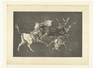 小さな雄牛の愚かさ トントスをバラバラにする Los Disparates (The follies) (シリーズタイトル) Los Proverbios (The Proverbs) (シリーズタイトル)