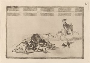 Echan perros al toro (彼らは雄牛に犬を放す) 作： Francisco de Goya