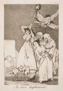 ここで彼らはすべての羽のために摘み取られます 作： Francisco de Goya
