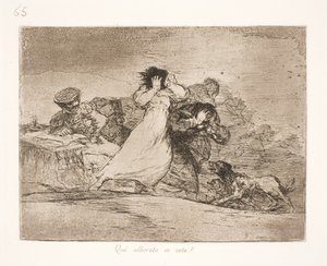 この混乱は何を意味するのでしょうか。 (65) 作： Francisco de Goya