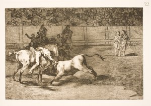 インド人とも呼ばれるマリア・セバラスは、馬から雄牛を殺します 作： Francisco de Goya