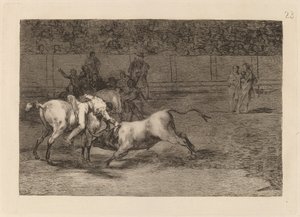 マリアーノ・セバージョス、別名インディアン、彼の馬から雄牛を殺す (マリアーノ・セバージョス、別名インディアン、彼の馬から雄牛を殺す) 作： Francisco de Goya